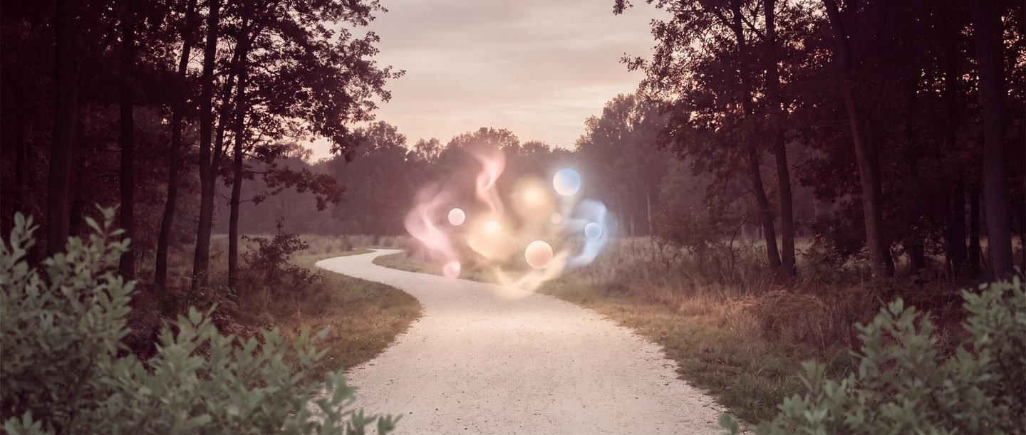 Several wisps of light gathered on a path at dusk.